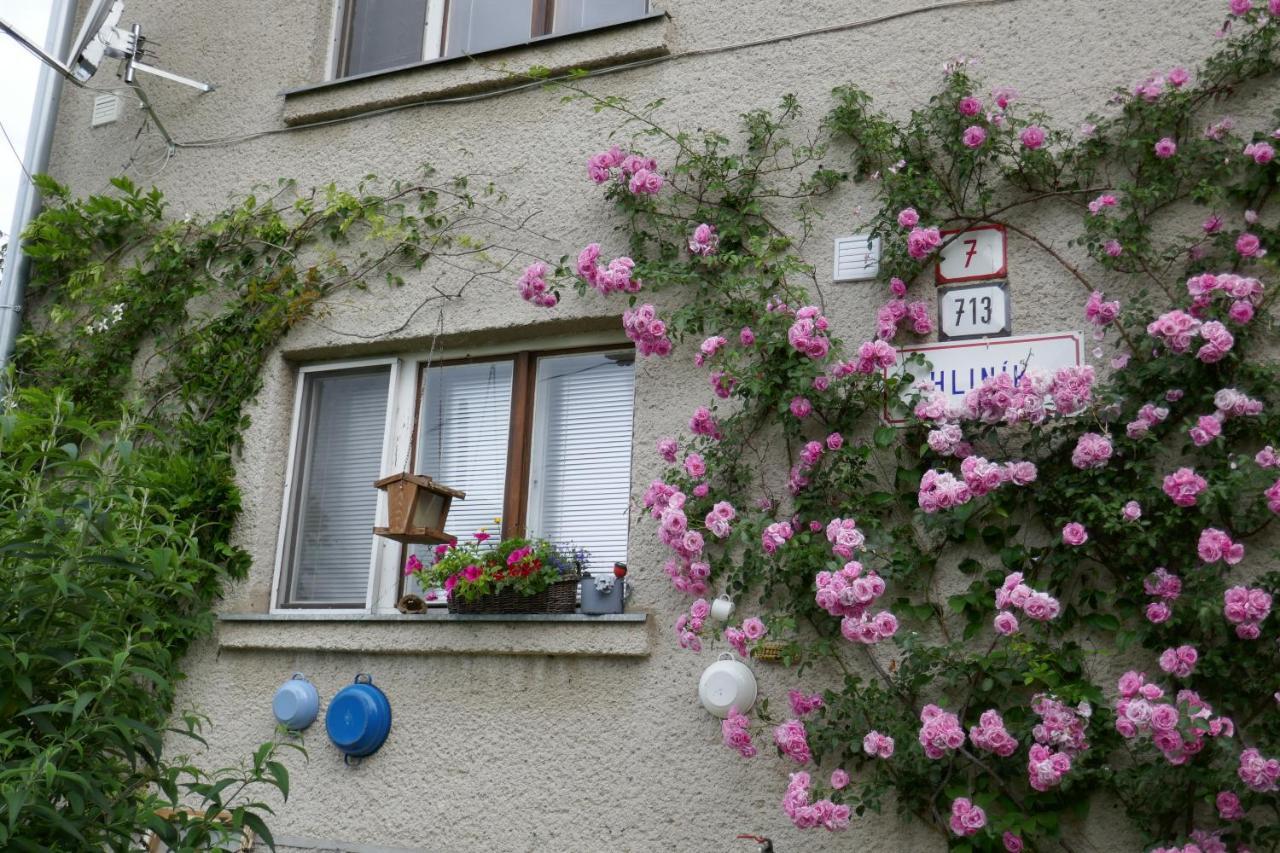 Apartmán na Sedliackom Dvore - Brezno Exterior foto