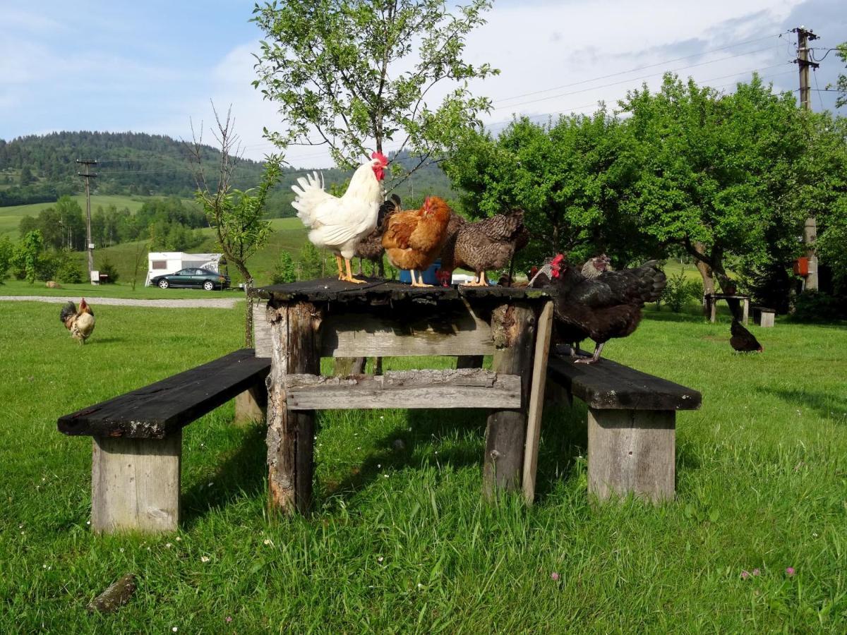 Apartmán na Sedliackom Dvore - Brezno Exterior foto
